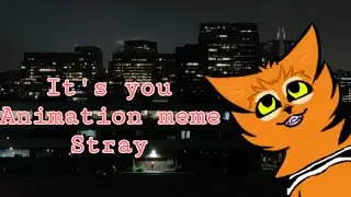 It's you! ♡ - Stray animation/tweening meme