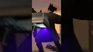 Все титаны и их убытки