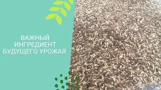 Привезли подсолнечниковую шелуху