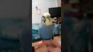 когда знаешь всё про горячую любовь!