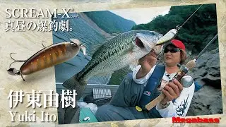 真昼の爆釣劇。 伊東由樹 YUKI ITO