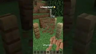 Is Mojang Racist? 🧐