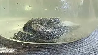 олово с плат .