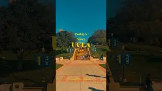 UCLA Law Story #WesAnderson Inspired #LawSchool #Law #Shorts #College #UCLA #CollegeLife #LosAngeles