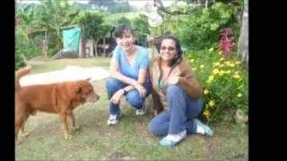 my friends in Facebook