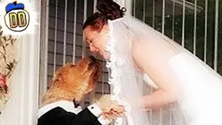 10 Most Bizarre Marriage Rituals Ever