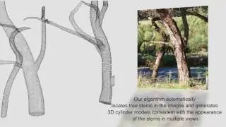 Estimating landscape carbon