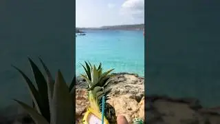 В какой стране ЕС проще всего получить паспорт? 