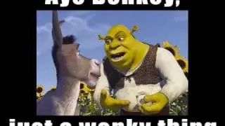 Fall Out Boy - Misheard Lyrics - I Don't Care