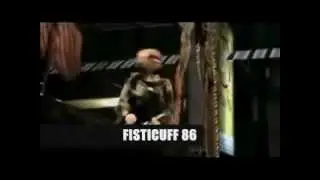 FISTICUFF 86 - Kolesom
