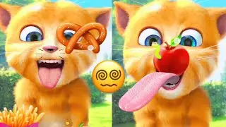 Talking Ginger 2 🍎🍒🌶️ | my talking ginger cat | talking ginger 2 eat with me |