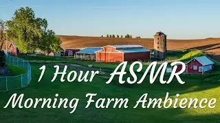 ASMR|No Talking•1 Hour Morning Farm Ambience | White Noise for Relaxing，Sleeping，Studying