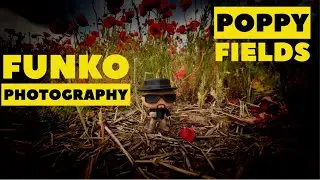 Funko Pop Breaking Bad - Heisenberg & Jesse Pinkman // Poppy Fields Photography