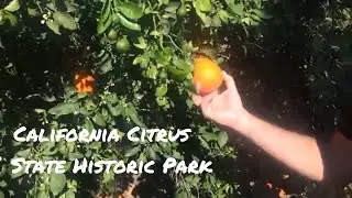 California Citrus Historic Park Vlog