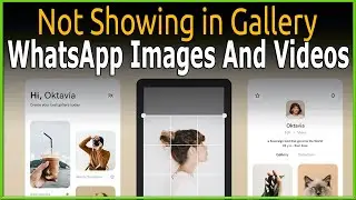 WhatsApp Images And Videos Not Showing in your Phone Gallery #Whatsapp #Gallery #Smartphone