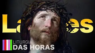 Laudes - 08/11/2024