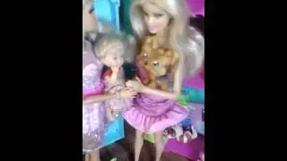 Поход в зоомагазин