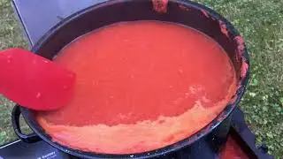 2020.08.21 Vegetable Garden Update, Making Tomato Sauce Batch 1