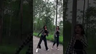 Gulabi Saree | dance #shorts | Ankita Singh