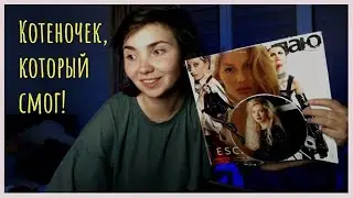 #психоблог Результаты моей психотерапии