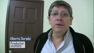 APAPORIS - Entrevista (HD)