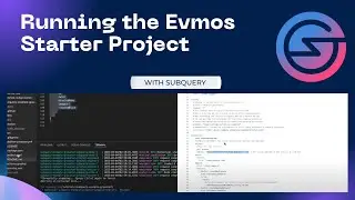 Running the Evmos starter project