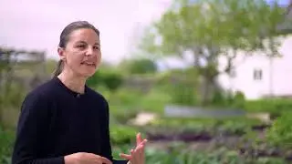 River Cottage Preserve the Seasons online course