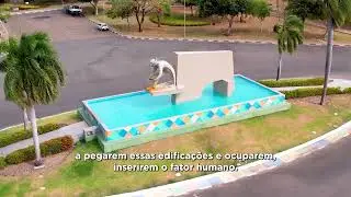 ABANDONO E PATRIMONIOS