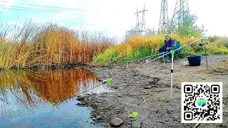 Зацепили уходящую стаю Леща . ЛЕЩ 2КГ .Фидерная ловля леща  поздней осенью . Рыбалка на Фидер.