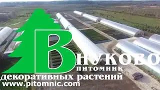 Укрытие растений на зиму