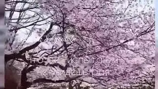 Терпение ради Аллаха — богатство,о сестра моя😊❤