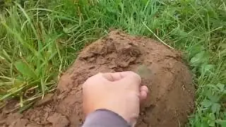 Сходу Медаль, а под закат Серебро
