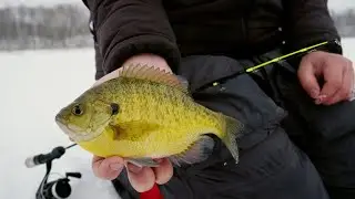 Riding Snowmobile Trails to Secluded Panfish in Northern Minnesota - In Depth Outdoors TV S17 E9