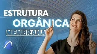 COBERTURA COM ESTRUTURA ORGÂNICA CURVA NO ARCHICAD UTILIZANDO A MEMBRANA FÁCIL E RÁPIDO