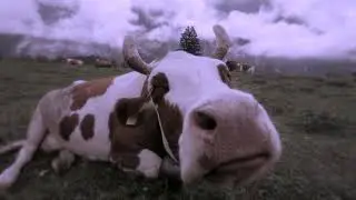 Albumtrailer Transhuman Part 3