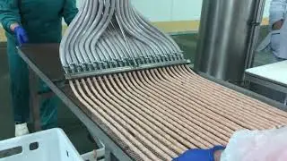 Hydroshpriz с порционером на 25 форсунок для производства мясных снеков Кабанос