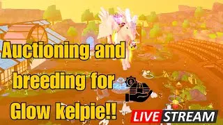 BREEDING AND AUCTIONING UNTIL I FIND A GLOW KELPIE!!! Horse Life Livestream
