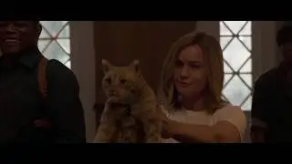 Опасный котейка 2