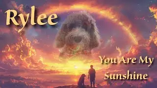 ❤️ Rylee: Forever Loved and Forever in My Heart ❤️ - You Are My Sunshine
