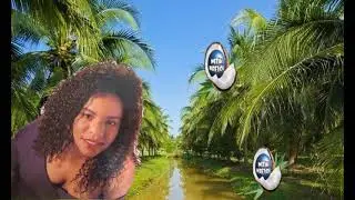 Nadéy - Linité