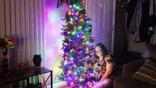 Christmas is Coming | Funcid 6ft Pre lit Pencil Christmas Tree