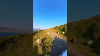 On the roads of Armenia#armenia #sevan #yerevan #khachik_tour