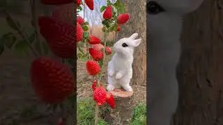 6 февраля 2024 г.