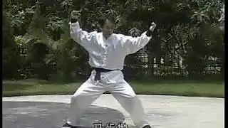 虎鹤双形拳下