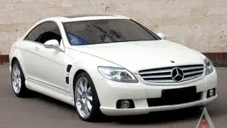 Белый мерин-Серега 2007г.