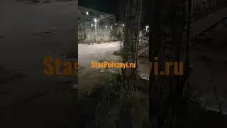 Выплаты самозанятым 250к