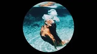 Sub:liminal - All These Things (ft. Sydney)