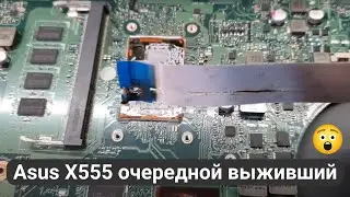 Asus X555 очередной выживший