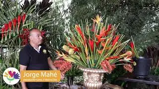 ASOCOLFLORES   TALLER FLORAL VIRTUAL