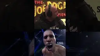 Joe Rogan On Alex Pereira Screaming